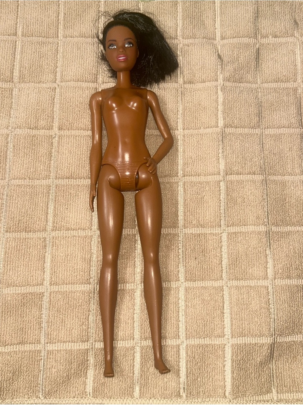 Barbie Brown Skin Fashion Doll with Black Hair